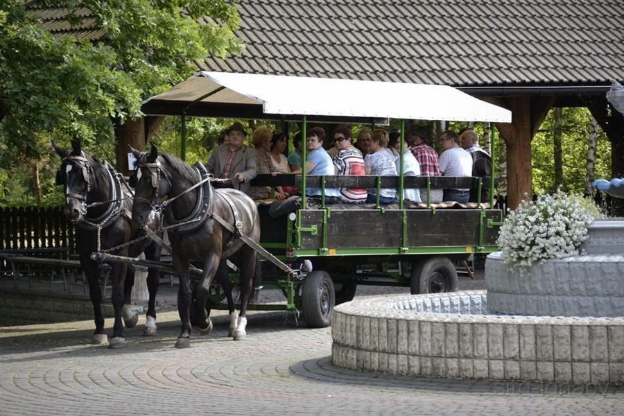 Park Lesny 'U Kaczyny' Hotel Rogow Kültér fotó