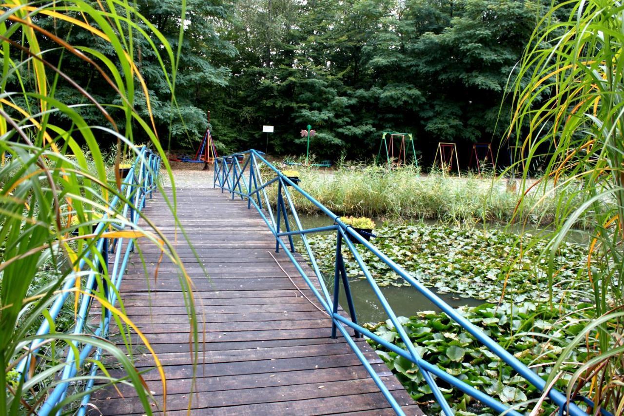 Park Lesny 'U Kaczyny' Hotel Rogow Kültér fotó